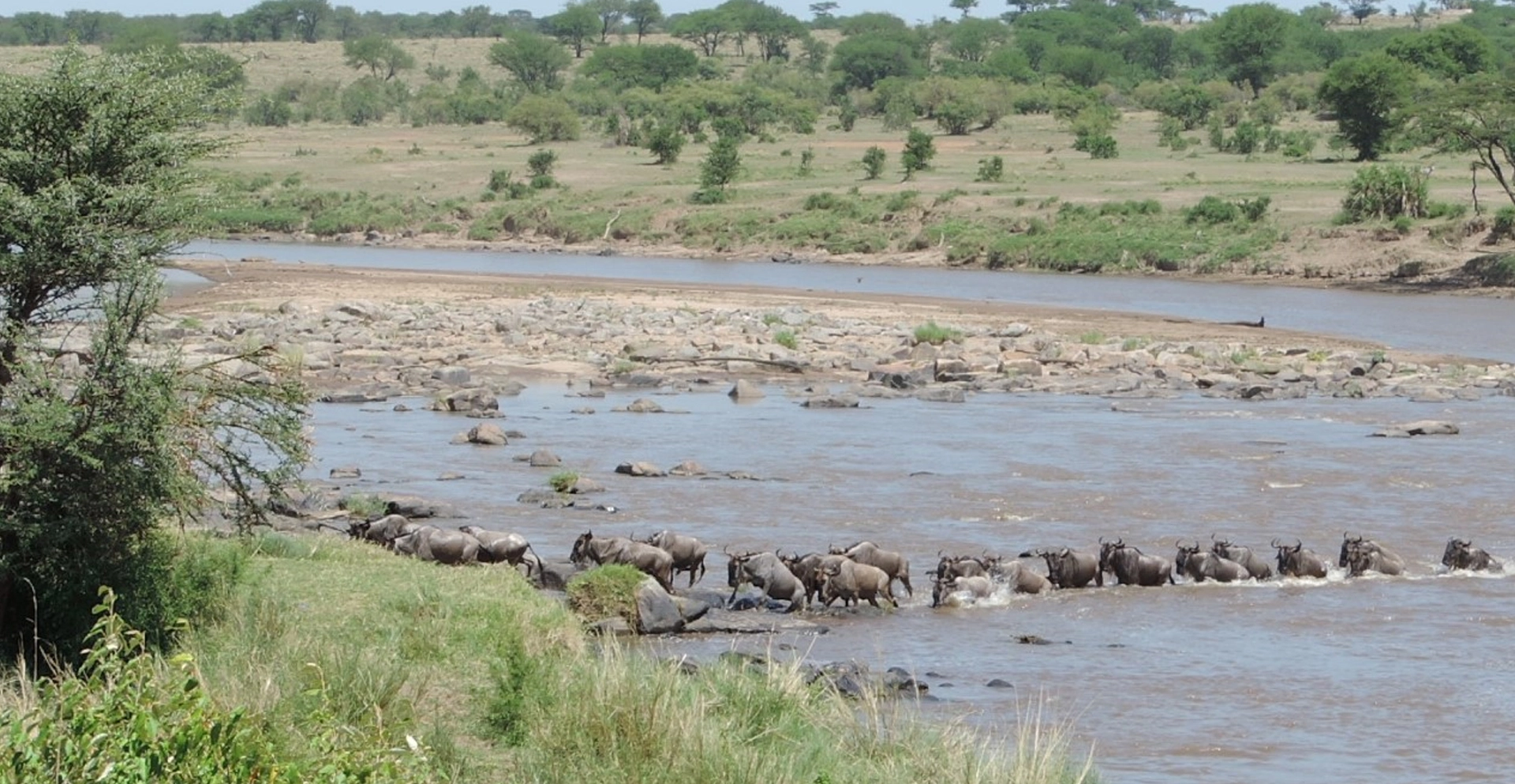 Kenia cruce rio Mara
